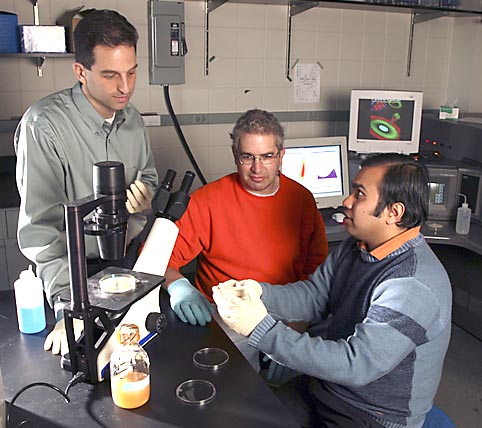 Photo of: research team in laboratory