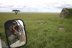 shooting a picture of a cheetah on the Serengeti Plains